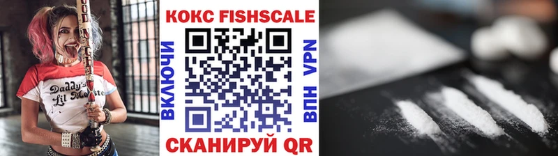 KRAKEN сайт  Змеиногорск  Кокаин Fish Scale 