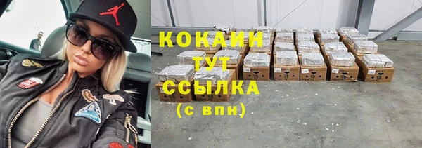ГАЛЛЮЦИНОГЕННЫЕ ГРИБЫ Вязьма