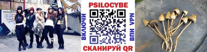 что такое наркотик  Змеиногорск  Галлюциногенные грибы Psilocybe 
